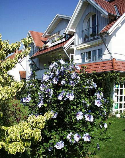 Urlaub im Haus Willmann in Zarten im Schwarzwald